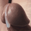 247_1000.gif