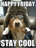 happy-friday-stay-cool-30-funny-happy-friday-memes-that-52790049-1.png