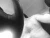 20200626_110038-1-1.jpg