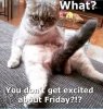 What-You-Dont-Get-Excited-About-Friday.jpg