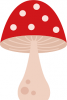 images (1).png