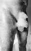 6A29BD04-A5B0-4517-839E-05B629089A46.jpeg