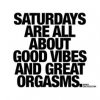 6bc3f421077aeec60e85b60d9d2b1a10--saturday-quotes-weekday-quotes.jpg