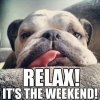 Best-Weekend-Memes.jpg