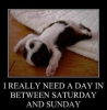 5d779f996703855f0a207143d02373aa-1.png