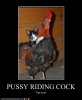 C0E25858-B00E-4914-B8CD-E489DDE04BFE.jpeg