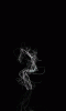 QS2L.gif