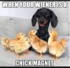 49075E0E-68DE-4B74-ADD8-7B3F78964F35.jpeg