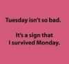 dc88e56d9fc48f25ec2ac57f6bbc2001--finals-week-happy-tuesday-1-1.jpg
