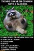 57c468b405c89_racoon.jpg