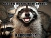 dirty-salad-joke_o_3980509.jpg