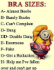 bra-sizes-a-almost-boobs-b-barely-boobs-c-cant-32292747-1.png