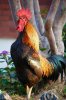 6be9a0496c5ebbda23ded091dac6c5eb.jpg