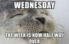 wednesday-the-weekis-now-half-way-over-list-of-53-48842364-1.png