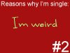 tumblr_lip7x5ttNh1qit4tzo1_500.jpg