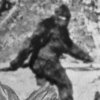 bigfoot-517258962.jpg