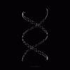 28a8d58c282d72b184f87405f4cb323a.gif