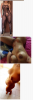 upload_2020-7-25_16-52-42.png