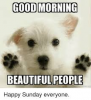 98b998357f5253313262214b696378bf.png