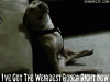 cjfo2pri7qj8.gif