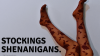 waruis-word-banner-3.png