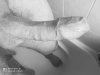 391_1000.jpg
