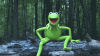 ALS-Kermit.gif