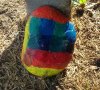 20200804_101029-1-1.jpg