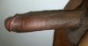 pic_2_thumb.jpg