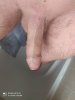 331_1000.jpg
