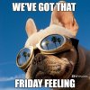 305677-That-Friday-Feeling.jpg