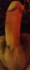 IMG_20200816_095051.jpg
