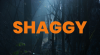 scooby-doo-2.png