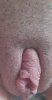 20200817_090059.jpg