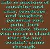 sunshine3-1.jpg