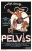 Pelvis.jpg