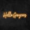 hellogorgeouseo_300x.png