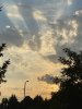 4E013A97-AC3F-4EEB-95CD-1D0EF3ADBD60.jpeg