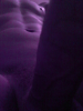 1c32f18d43d09a68e5c8478c452ff43c.png