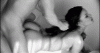 image.gif