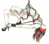 pendulum-carolyn-weltman.jpg
