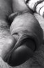 D171EDAD-0D68-45A5-A6A1-487A6D23BAB2.jpeg