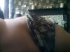 IMG_20200524_121410.jpg