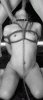 image.gif
