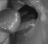 image.gif