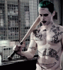 image.gif