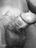 F3CD6B00-CF85-459C-9511-14F23618F2A3.jpeg