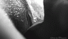 5a4977223422e039ff4120244723fecf7f358888.gif