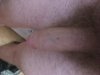 E161534D-4293-4476-9627-27DCEAE24C53.jpeg