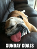 sunday-goals-sundaygoals-3137807-1.png